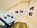 12-IMG_7658