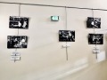 17-IMG_7662